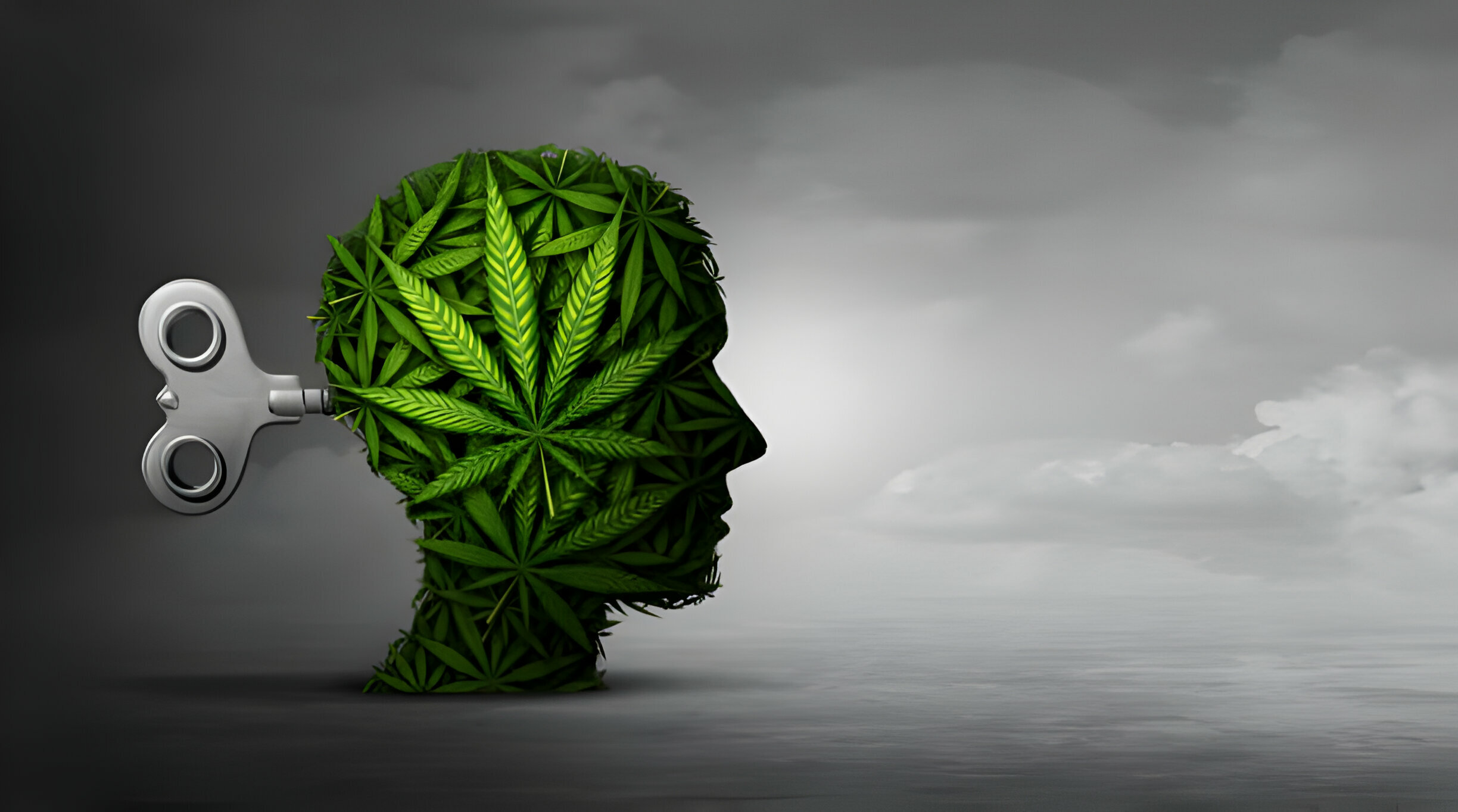 Temporary Psychosis: What Is It and Is It Linked to Marijuana?